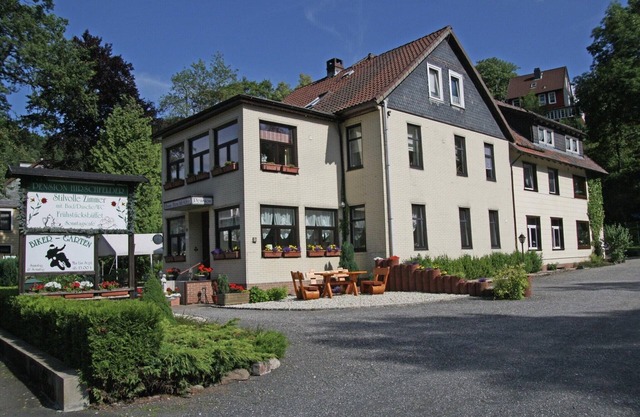 Charmantes Dachgeschoss-Refugium, Harz
