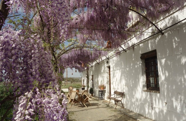 Charming rural house with swimming pool 3 km from the city of Granada. parking