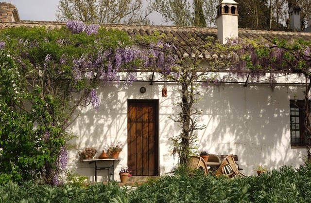 Charming rural house with swimming pool 3 km from the city of Granada. Parking