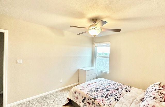 Charming 1-bedroom in awesome Dripping Springs.