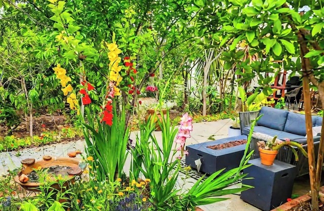 Charming 1 bedroom orchard retreat 5 miles from downtown San Diego