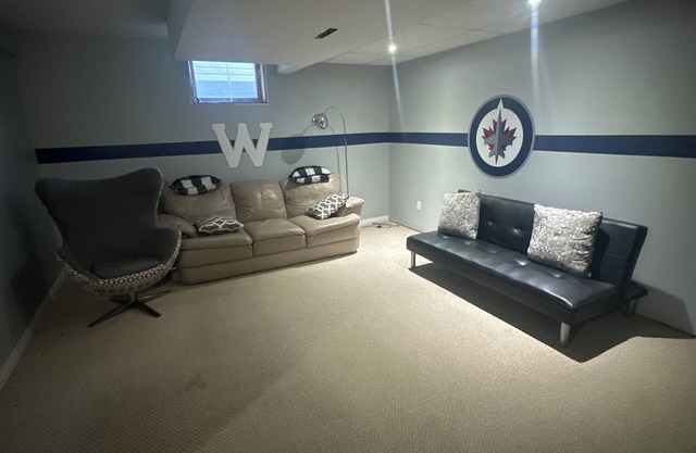 Charming 1-bedroom-1 bath basement suite with AC, WiFi in downtown Souris mb