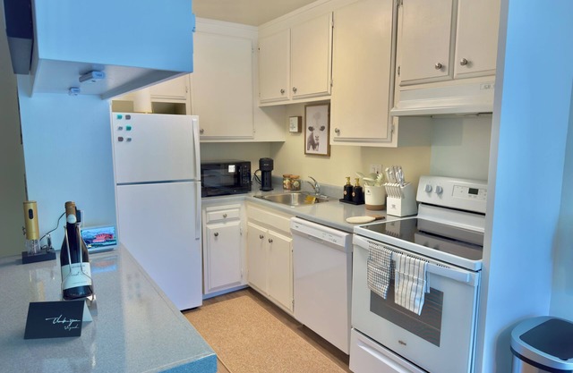 Charming 1BE/1BA apto in San Bruno. Close to SFO, lake San Andreas and YouTube.
