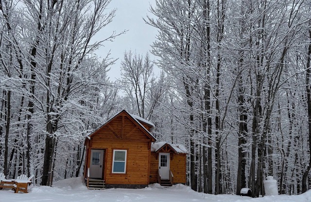 Charming 2-bedroom cabin with WiFi in North Bangor, NY.