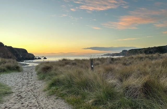 Charming 2-bedroom house nestled between Mendocino and Fort Bragg