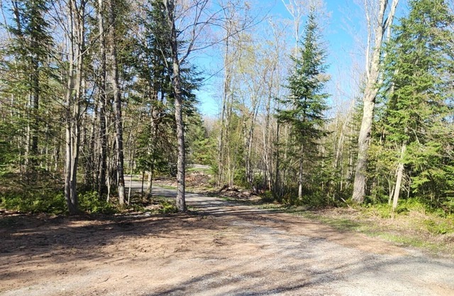 Charming 2-bedroom house with WiFi near Hiawatha National Forest in Manistique