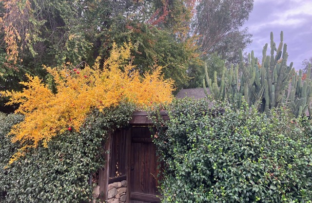 Charming 2 bedroom home with loft and guest house in serene downtown Ojai