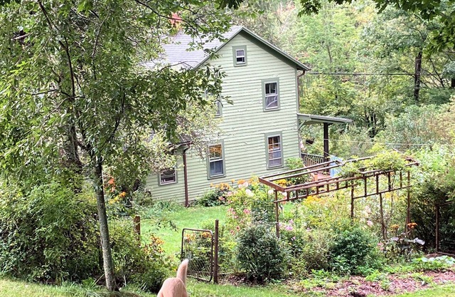 Charming 2-bedroom house with WiFi outside Fleischmanns, NY
