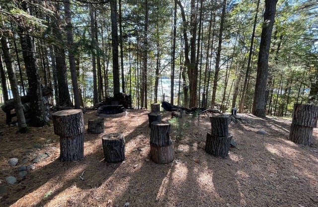 Charming 3-bedroom cottage in fabulous Lake Tomahawk with WiFi, AC
