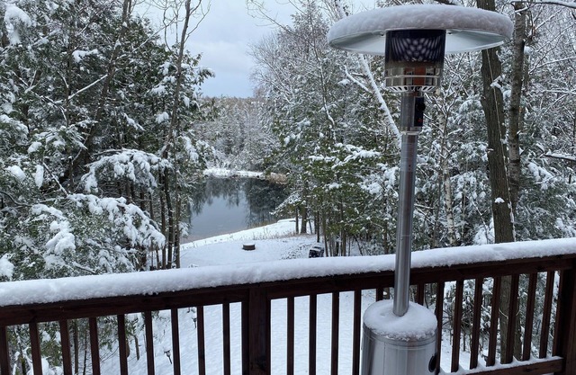 Charming 3-bedroom cabin in Pound with WiFi and AC
