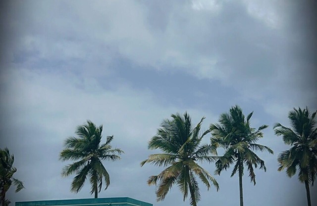 Charming 3-bedroom condo with AC, WiFi in enchanting Ceiba, near the Beach.