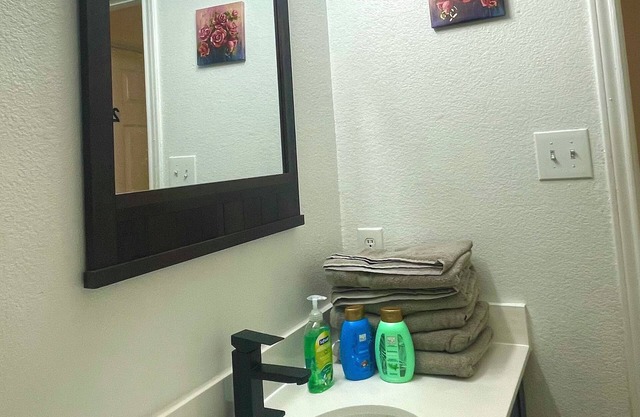 Charming 3-bedroom house with WiFi and AC in fabulous Dallas