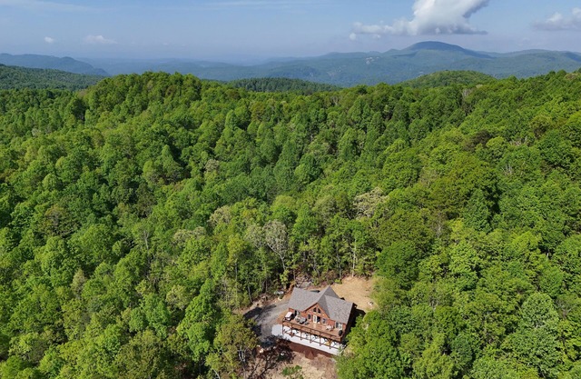 Charming 4-bedroom cabin near Bat Cave, Chimney Rock, Lake Lure, Asheville