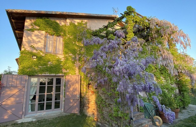 Charming and cozy apartment in Monferrato and Roero countryside Langhe and Turin