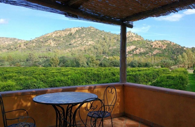 Charming apartment in the heart of a citrus farm.
