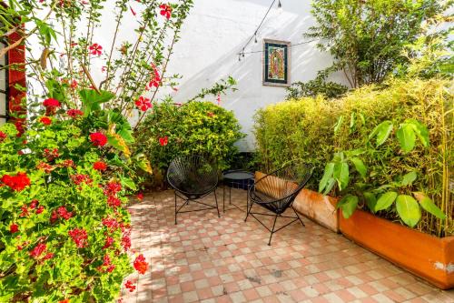 Charming Apartment in Colonia Americana with 1 Bedroom