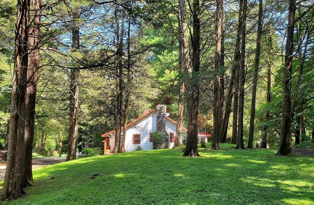 Charming Artist's Retreat