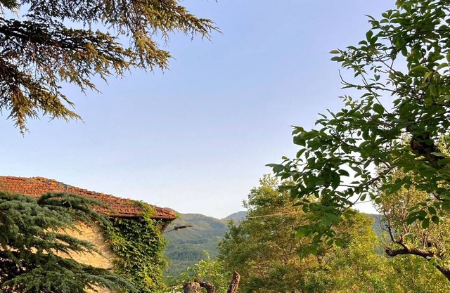 Anwesen/Landgut - Lizzano in Belvedere