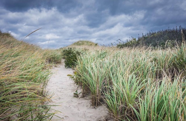 Charming Beach Cottage Located on Dead End Road with Deeded Access to East Sandwich Beach