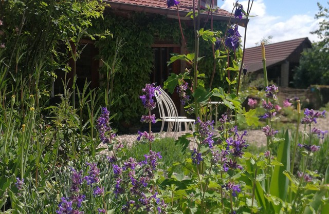 Zimmer "Vers la cour" auf ehemaligem Bauernhof mit Pool