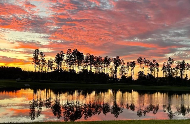Charming brand new 4-bedroom house with a pond view. Close to Tampa and Orlando.