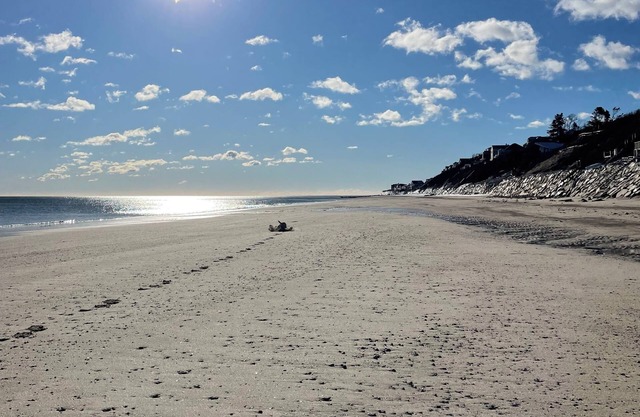Charming Cabin 500 feet to beach