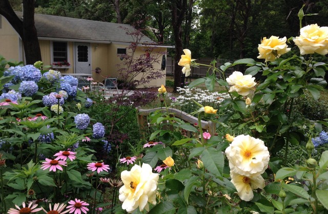 Charmantes Cape Cod Cottage