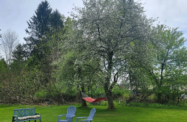 Charming Classic Village Home walking distance to St. Bonaventure University