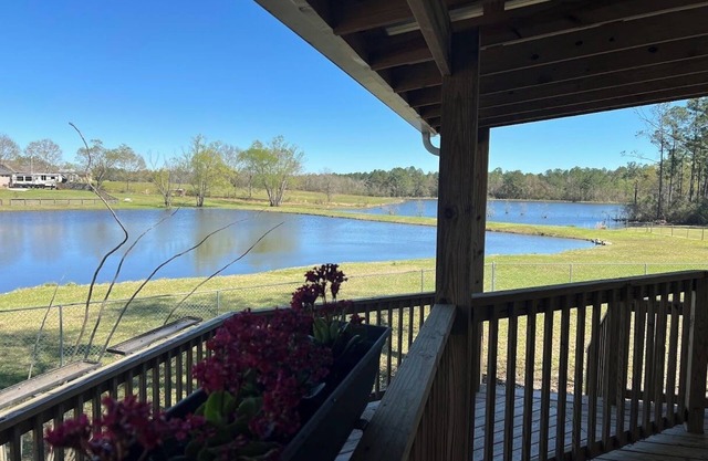 Charming Cottage in Gulfport overlooking 2 beautiful ponds WIFI Pet Friendly