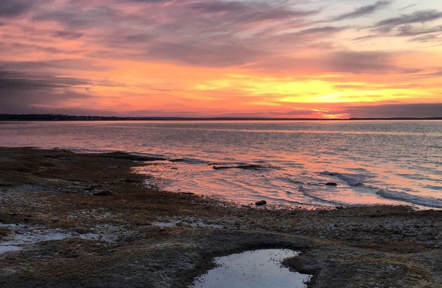 Charming Cottage on Private Beach - Steps away from Mass Audubon Sanctuary
