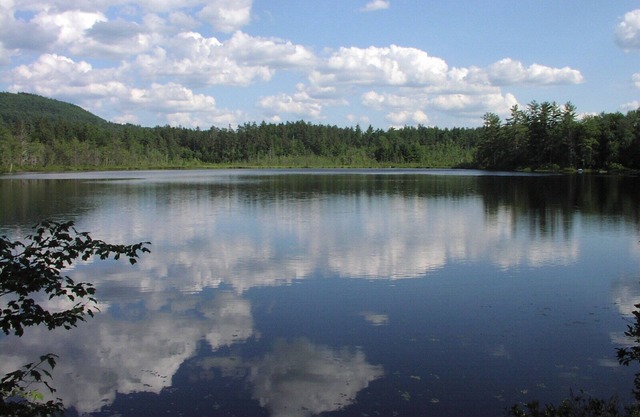 Cottage mit Charme - Privatanlage mit See