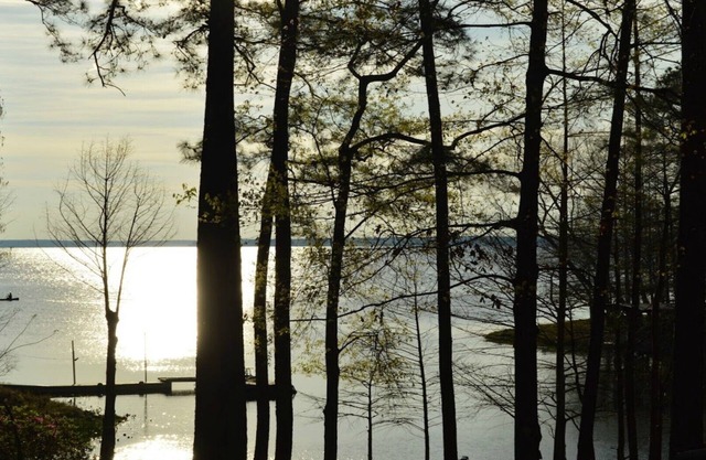 Charming Cottage Snuggled in Main Lake Cove mit perfekter Lage und Aussicht