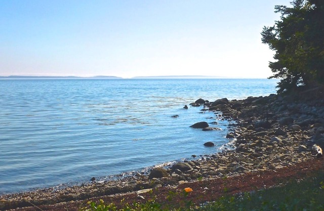 Charmantes Cottage mit herrlichem Meerblick in ruhiger, waldreicher Umgebung in der Nähe von Acadia