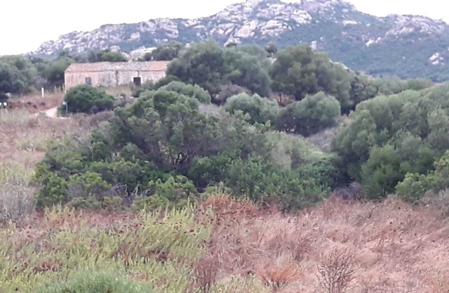 Charming Countryside home near Costa Smeralda Sardinia, with beautiful sea views