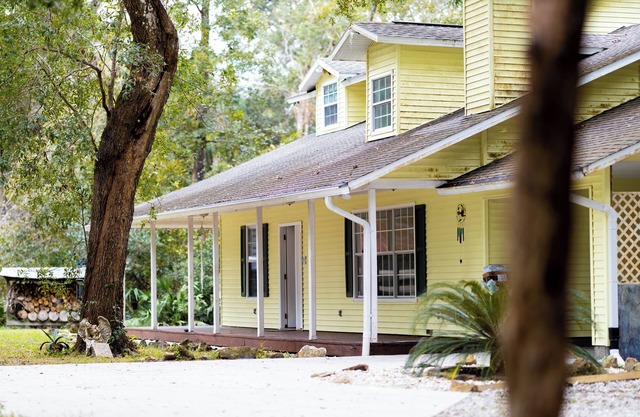 Charming Forest Farmhouse: Nature Lover paradise - Grazing cow field