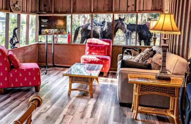 Charming+Free HorsebackRiding+Petting Farm