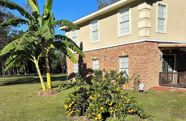 Charming Gated 2-bedroom cottage in Havana with WiFi, AC and Hot Tub.