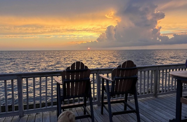 Charming house on the Delaware Bay in delightful Reeds Beach with AC, WiFi
