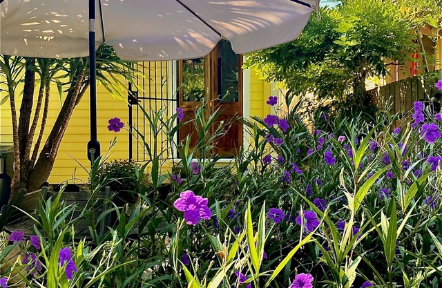 Charming Historic Marigny Cottage, 1865. Walk Everywhere!