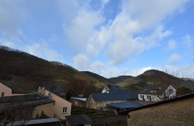 Charmantes Ferienhaus in Neumagen-Dhron bei Moezel