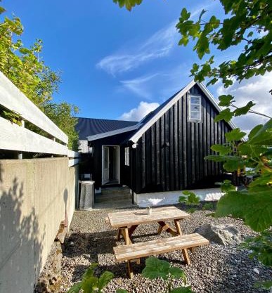 Charming house downtown - the whole house or a bedroom - you choose!