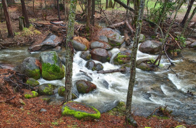 Charming house near Yosemite with a Creek