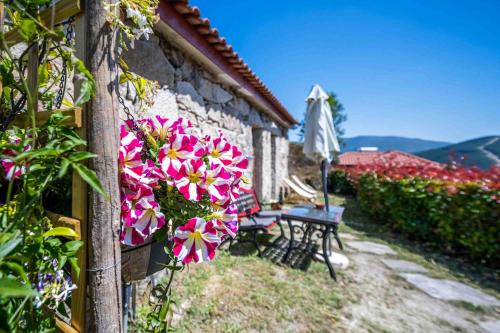 Charming house with mountain view in Vilar de Ferreiros