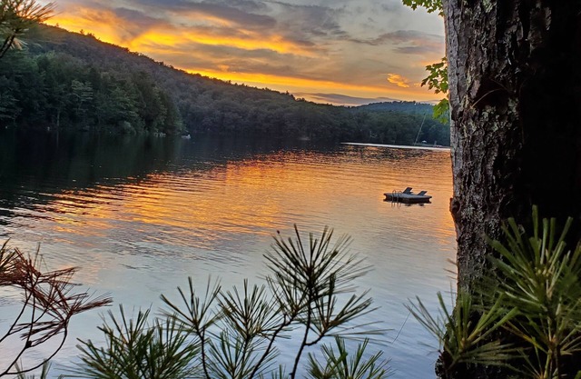 Charming Lake front 2-bedroom cabin in delightful Brooks 6 miles from ocean