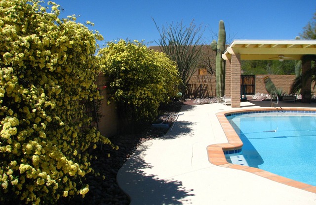Charmante große Gästesuite im Tanque Verde Valley