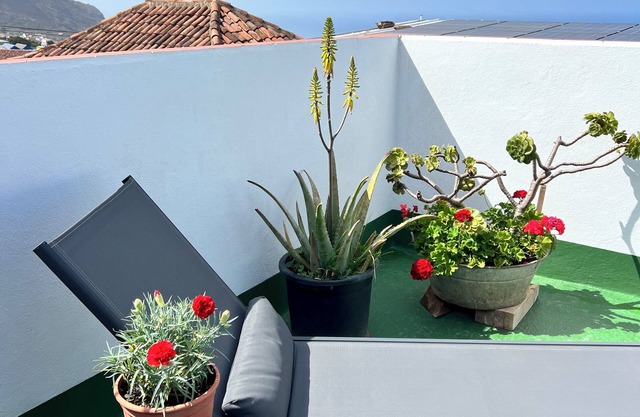 Charming Little Canary home Terrace with wonderful ocean and mountain views.