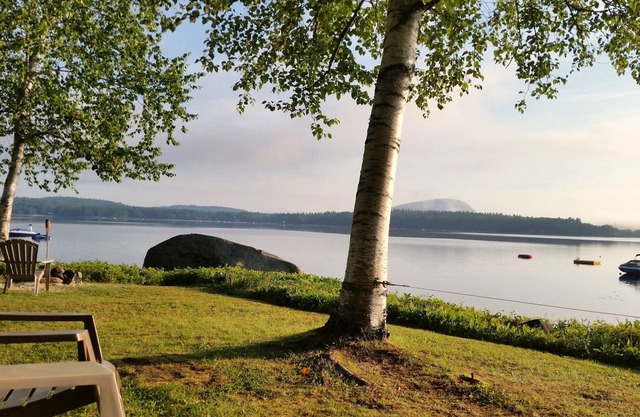 Charmantes Lovewell Pond Lakehouse: Strand, offenes Layout, Klimaanlage / Waschmaschine / Trockner / WIFI / Kabel