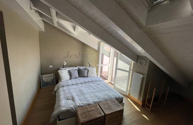 Charming Penthouse in Turin