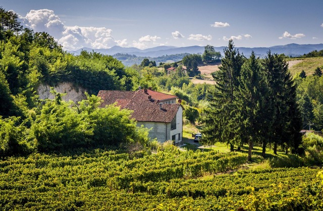 Charmantes Ferienhaus in den Weinbergen des Monferrato