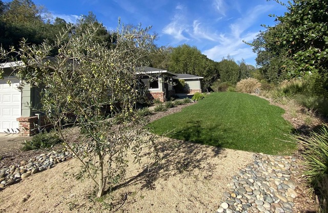 Charming/Private Home Peacefully Nestled on 1 Acre in the Heart of Wine Country